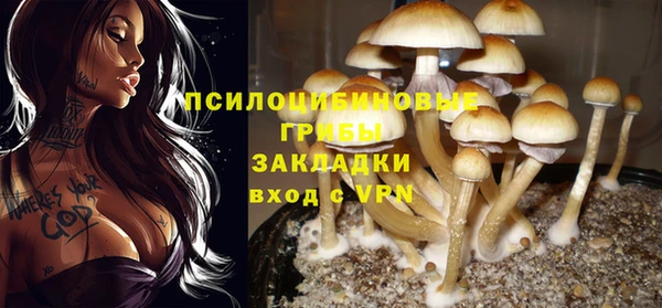 ГАЛЛЮЦИНОГЕННЫЕ ГРИБЫ Армянск
