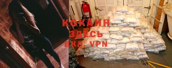герыч Арсеньев