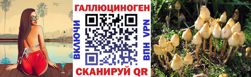 ссылка на мегу ссылки  Волжский  Галлюциногенные грибы GOLDEN TEACHER 